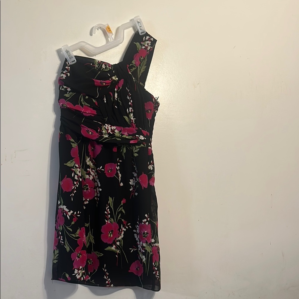 Delia Floral Black and Pink Women's Dress